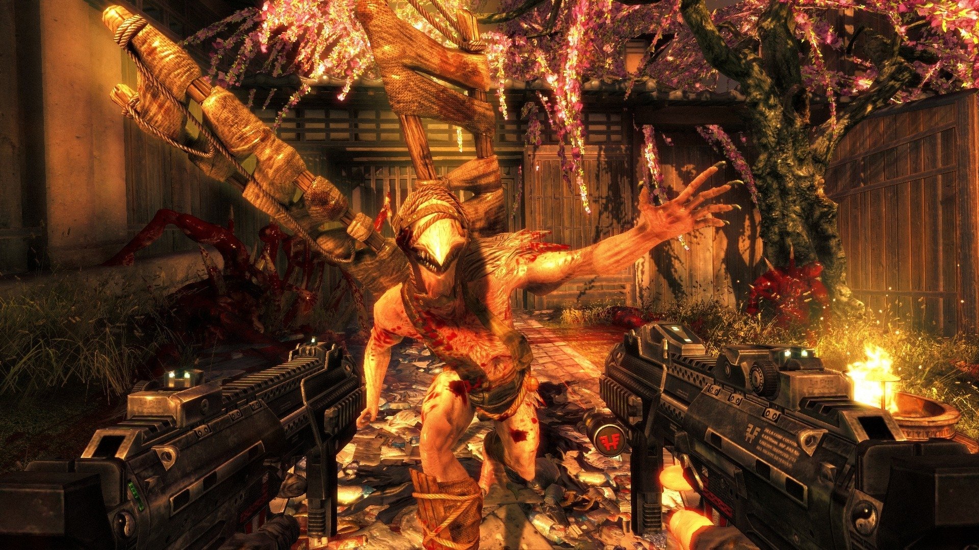 Obrázek ESD Shadow Warrior