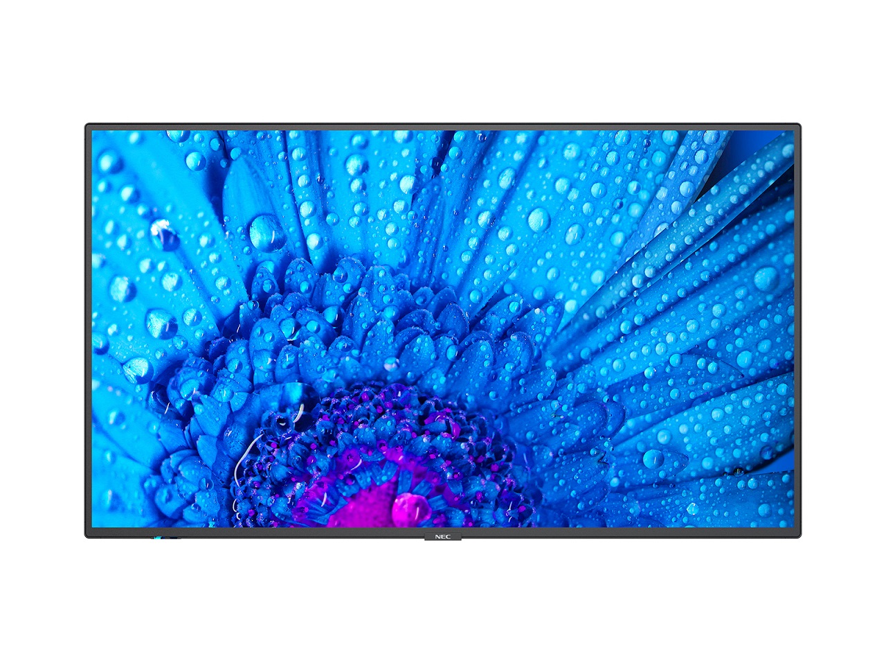 49" LED NEC M491,3840x2160,IPS,24/7,500cd