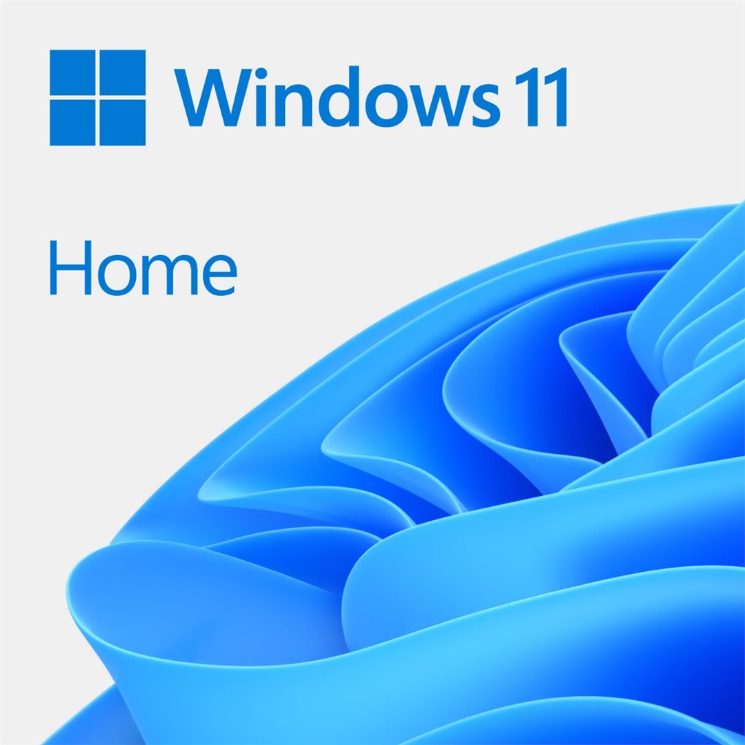 Obrázek MS Windows 11 Home 64-Bit Eng 1pk OEM DVD