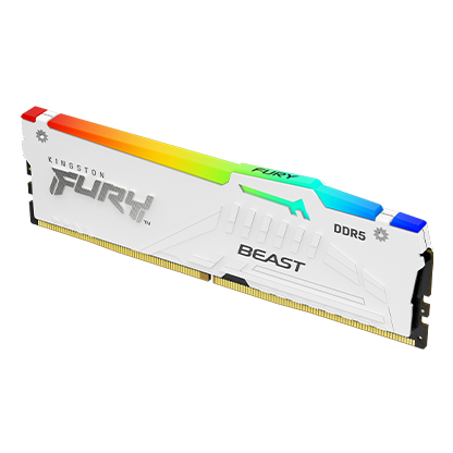 Obrázek Kingston FURY Beast EXPO/DDR5/16GB/5200MHz/CL36/1x16GB/RGB/White