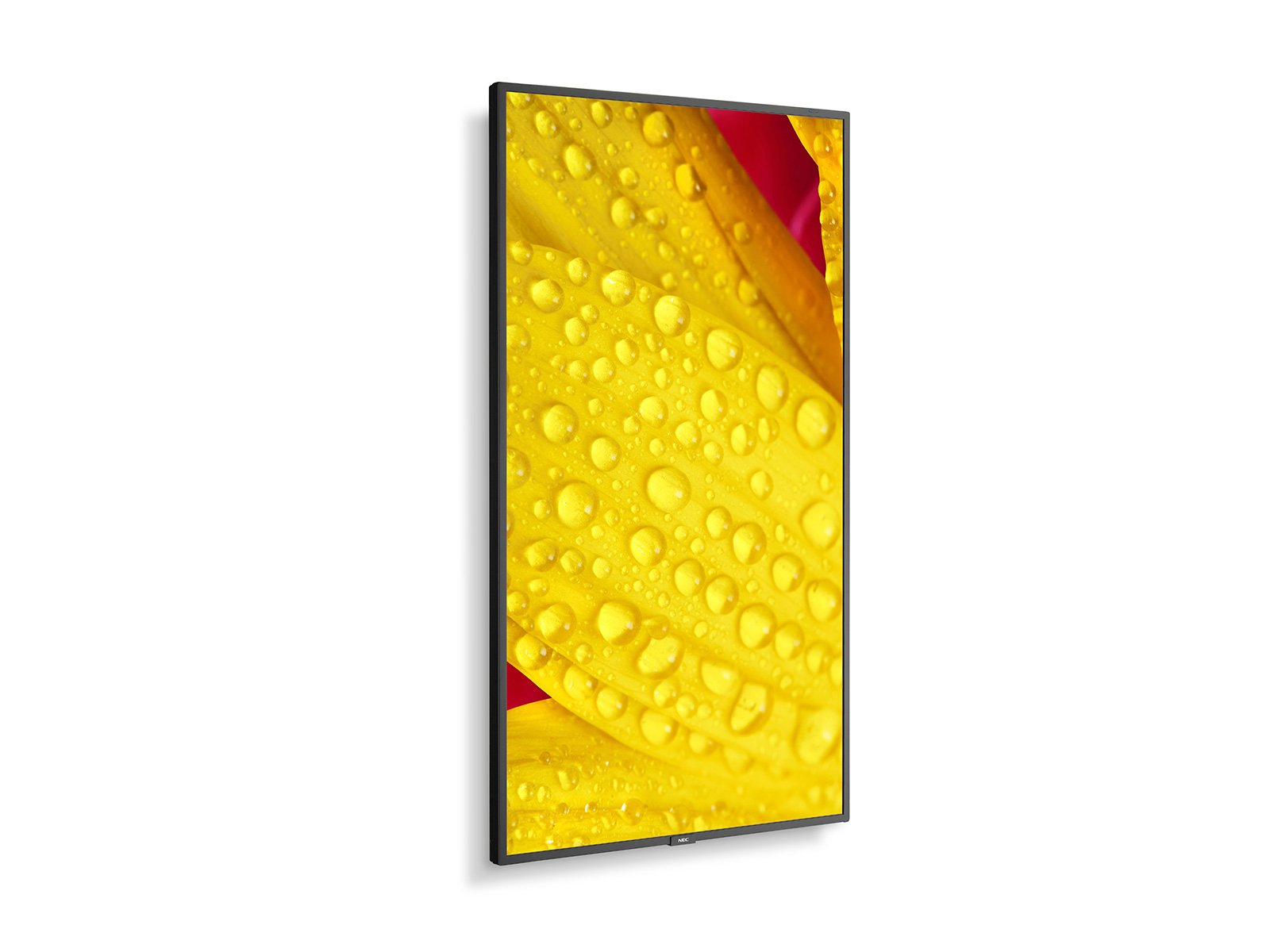 Obrázek 55" LED NEC M551-2,3840x2160, 24/7, 500cd