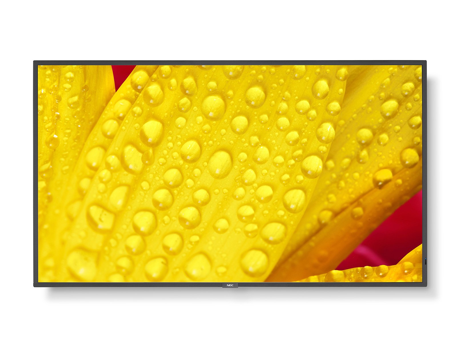 Obrázek NEC MultiSync/M501-2/50"/VA/4K UHD/60Hz/8ms/Black/3R