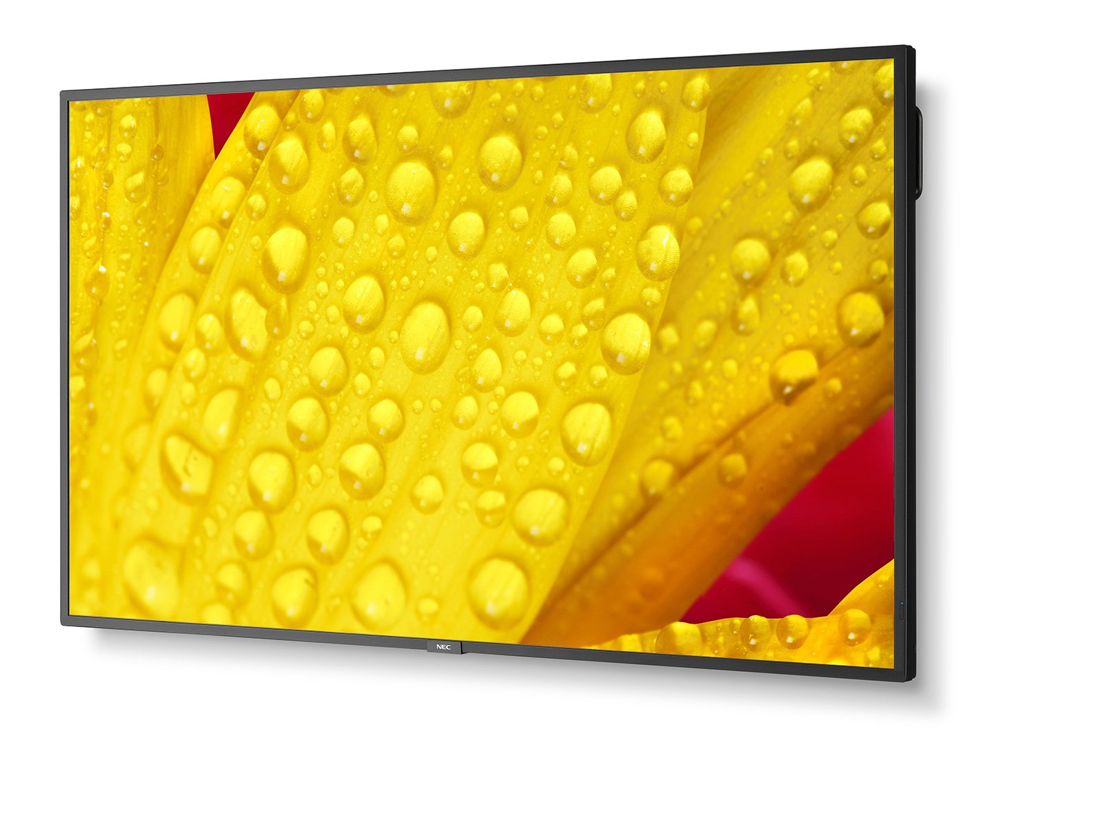 Obrázek NEC MultiSync/M501-2/50"/VA/4K UHD/60Hz/8ms/Black/3R