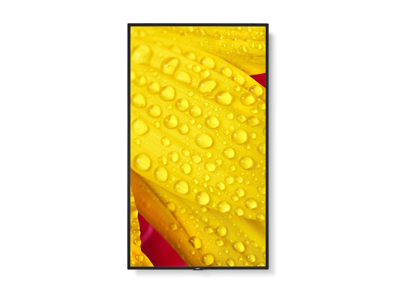 Obrázek NEC MultiSync/M501-2/50"/VA/4K UHD/60Hz/8ms/Black/3R