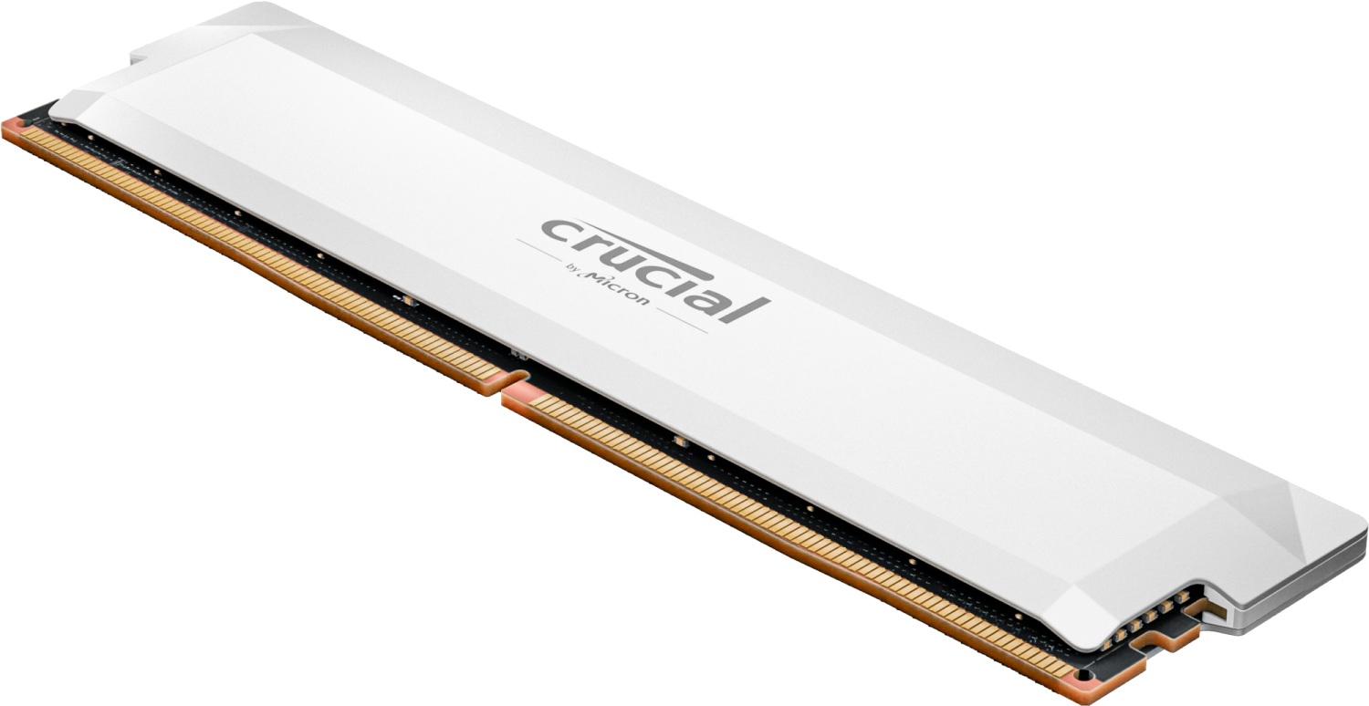 Crucial Pro OC/DDR5/16GB/6000MHz/CL36/1x16GB/White