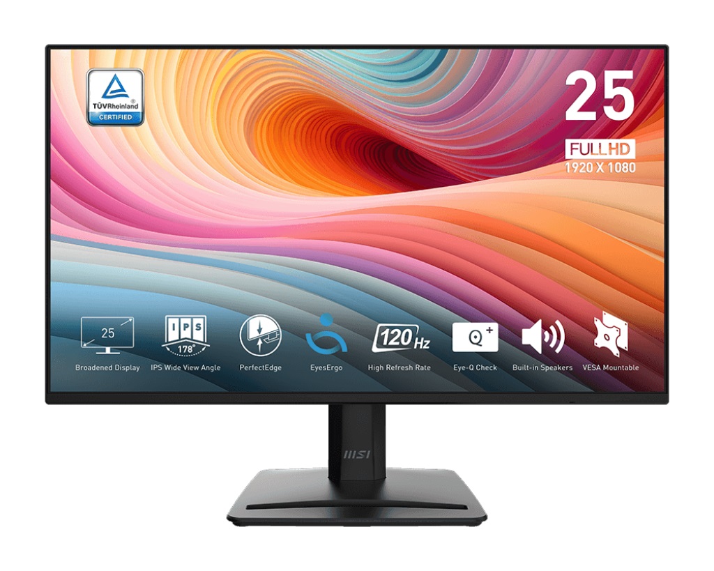 MSI Pro/MP252 E2/24,5