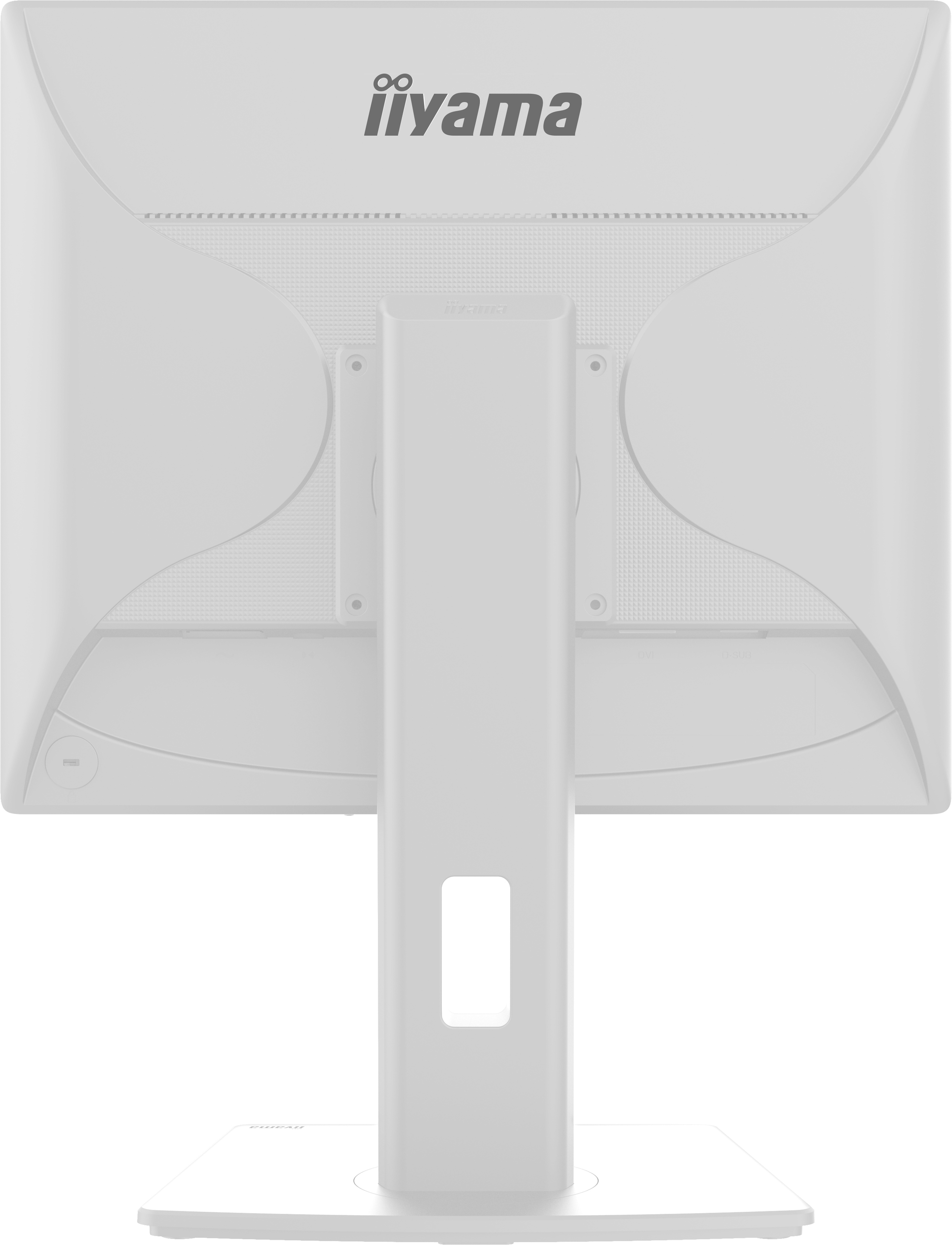 Obrázek iiyama ProLite/B1980S-W1/19"/TN/1280x1024/75Hz/3ms/White/3R