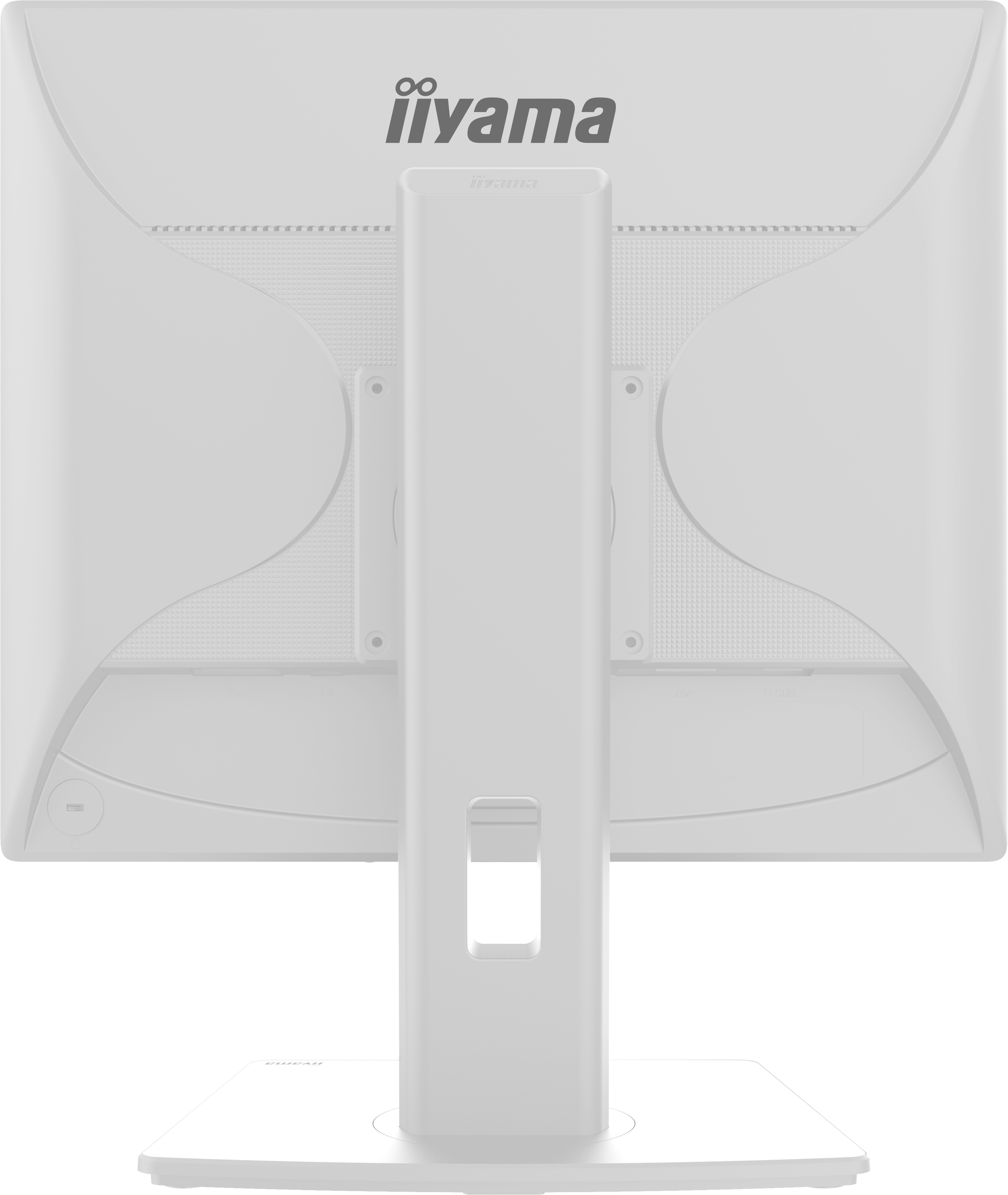 Obrázek iiyama ProLite/B1980S-W1/19"/TN/1280x1024/75Hz/3ms/White/3R