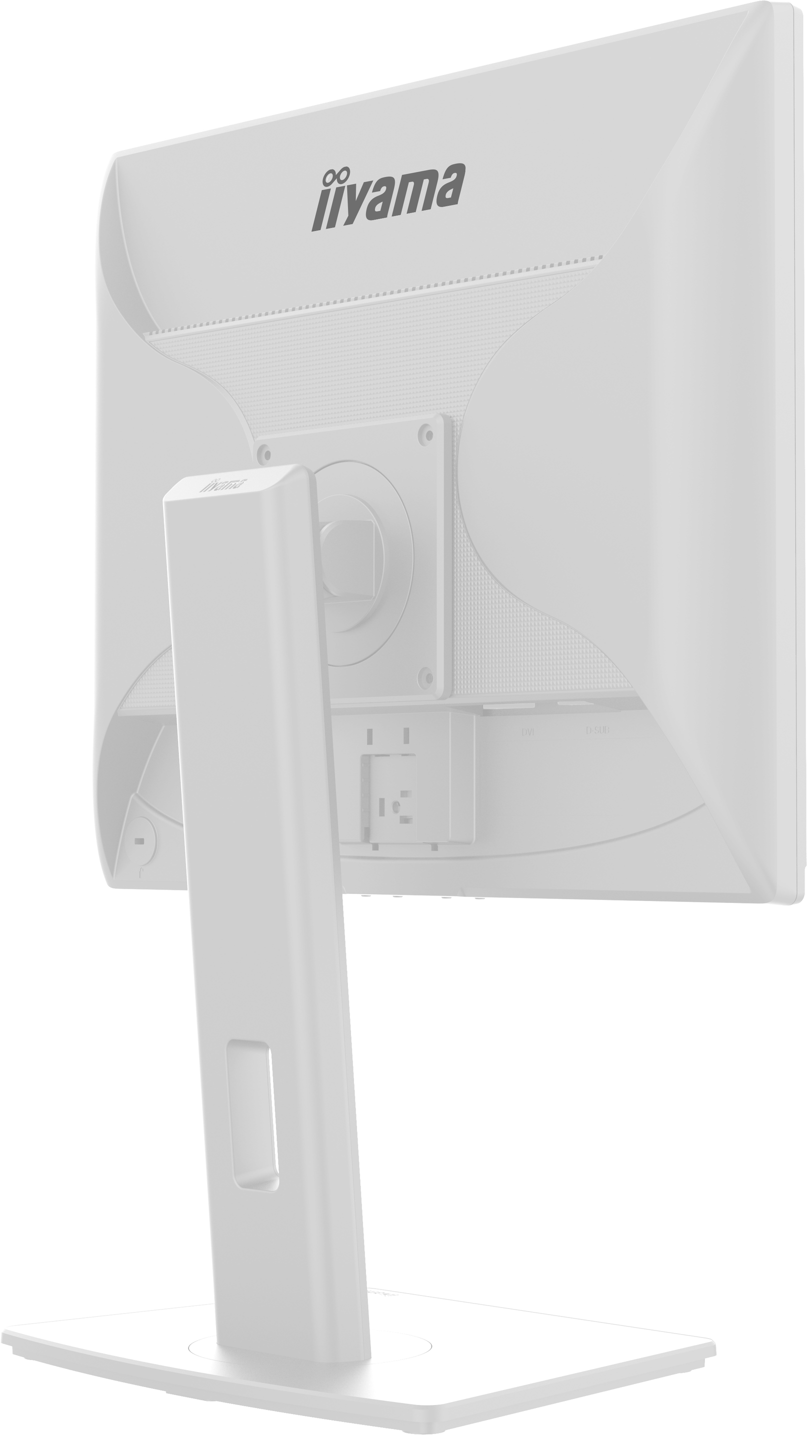 Obrázek iiyama ProLite/B1980S-W1/19"/TN/1280x1024/75Hz/3ms/White/3R
